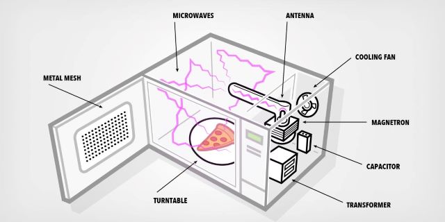 Functions And Uses Of A Convection Microwave Oven