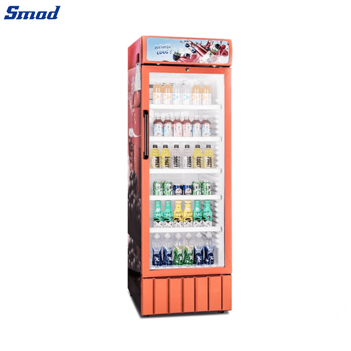 
Smad Upright Drinks Chiller with Mechanical Thermostat